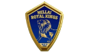 Nellai Royal Kings