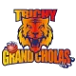 Trichy Grand Cholas