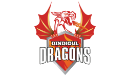Dindigul Dragons