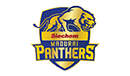 Tamil Nadu Premier League Betting Sites